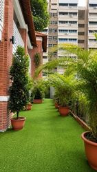 Hindoo Road (D8), Terrace #603505961